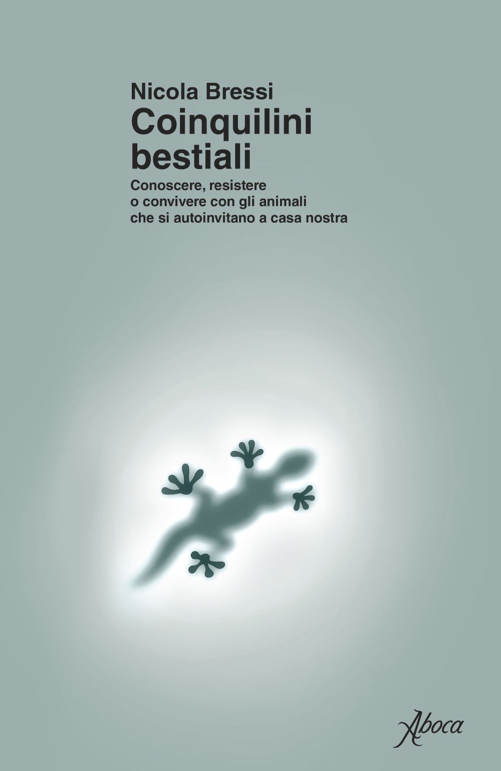 lynfase_blurry_default_light